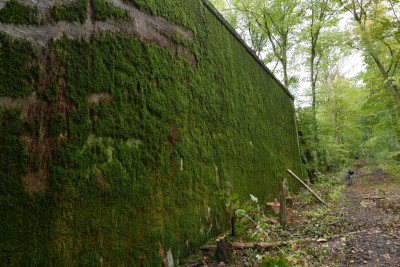 Riesenmooswand 2.JPG