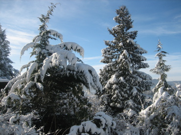 IMG_2845.jpg