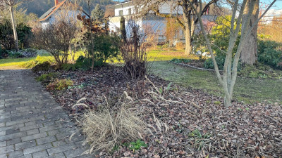 das Jännerbild hab ich heute gemacht, hab keins gefunden