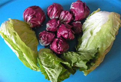 salat_01.jpg