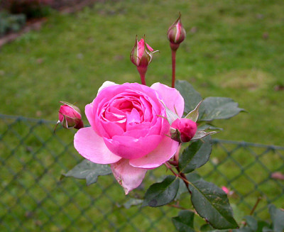 Heritage_13.12.08.jpg