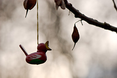 Vogelgesang-Dez1408.jpg