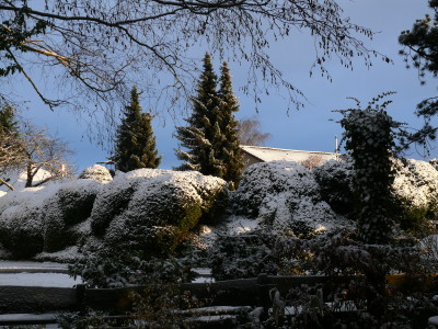 P1160189_1.JPG