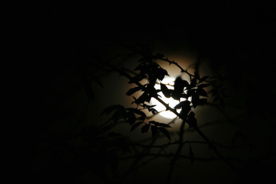 Vollmond-1-b.jpg