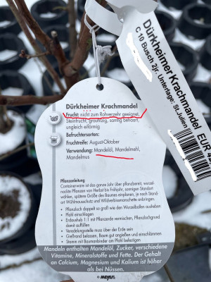 Dürckheimer Krachmandel Nicht zum Rohverzehr geeignet.jpg