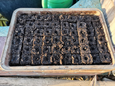 Presstöpfe Laubkompost.jpeg