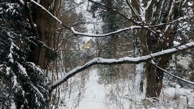 Im Dickicht versteckt - alte Bremer Kaufmannsvilla