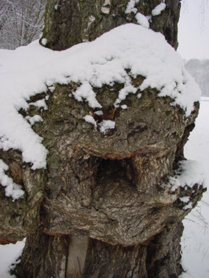 bocca_della_verita.jpg