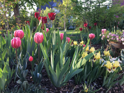 T. Jan Reus in Kombination 2020.jpeg