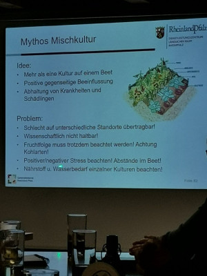 Mischkultur Mythos.jpeg