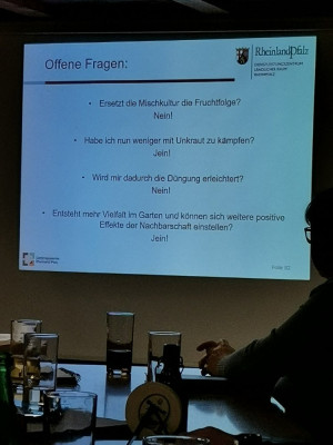 Mischkultur Mythos 2.jpeg