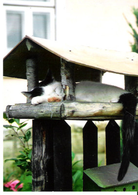 Frohlich0208.jpg
