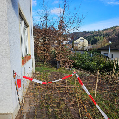 zum Kompost - nicht 20260115_134749.jpg