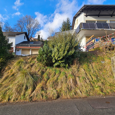 Hang 20260115_135352.jpg