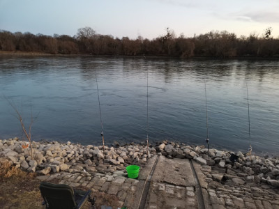 Parkinsel Blick Reichsinsel.jpeg