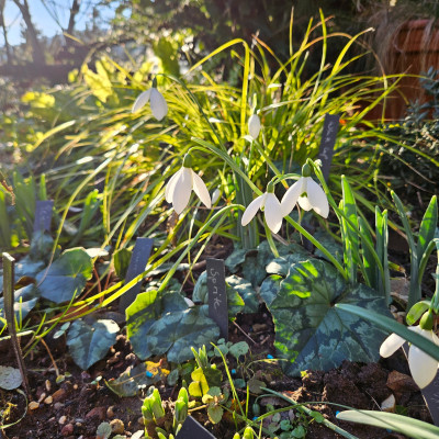 Mrs Mcnamara 20250116_145949.jpg