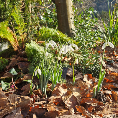 Mrs Mcnamara 20251221_141336.jpg