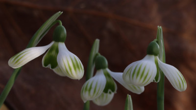 PP-S-14-0629 besser.jpg