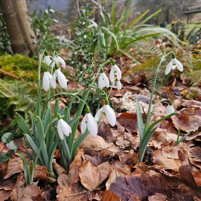 Mrs Macnamara 20260117_141933.jpg