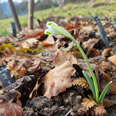 Trymskrams 20260117_141714.jpg