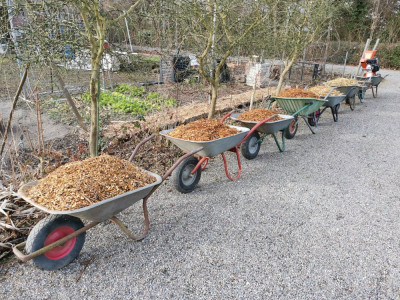 Häcksel 20260117.jpeg