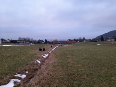 20260118_162158.jpg