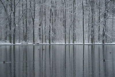 winterspiegelung_8453.jpg