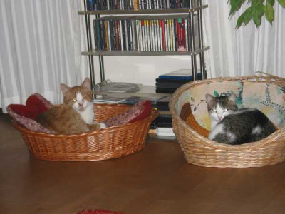 IMG_Toni_u._Heidi.jpg