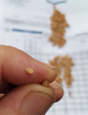 Durum Limbodur Bruchtest 20250703.jpeg