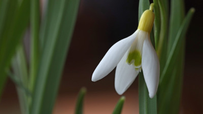 IMG_9192 Pac20 IBI.jpg