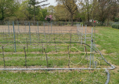 Rebanlage Regner  Wasserzuführung.jpeg