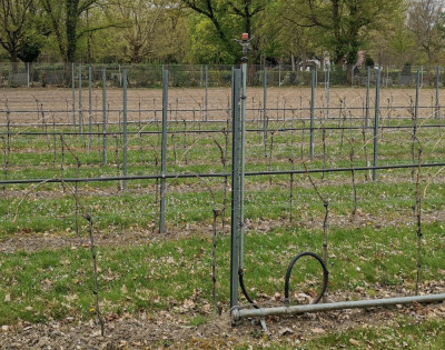 Rebanlage Regner.jpeg