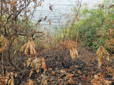 Brand Bagger 2025 1.jpeg