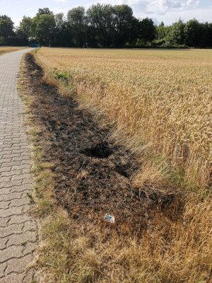 Brand Weizen Böschung.jpeg