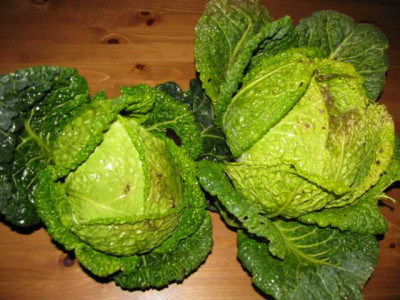K640_IMG_0070.JPG