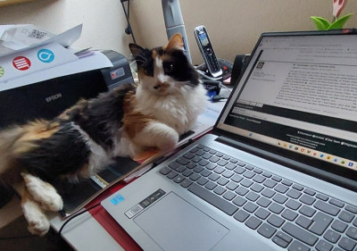 Schön dieses Forum. Gefällt mir.