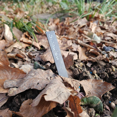 Swanton 20260123_145834.jpg