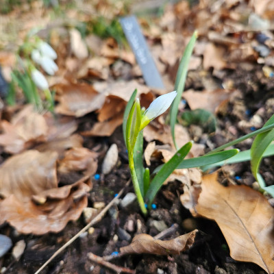 Swanton 20260123_145852.jpg