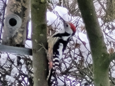 20240119_083714_1.jpg