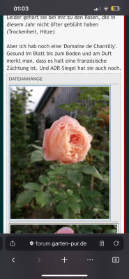 IMG_1541.png