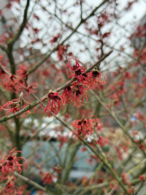 IMG_1589.jpeg