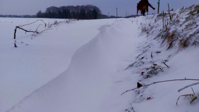 20260131_155119.jpg