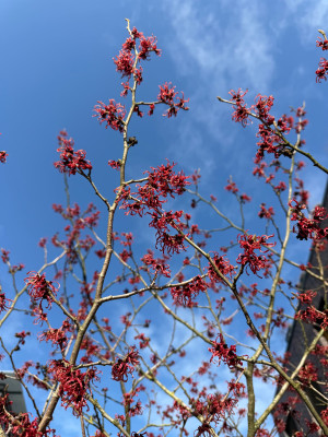 IMG_1659.jpeg