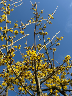 IMG_1663.jpeg