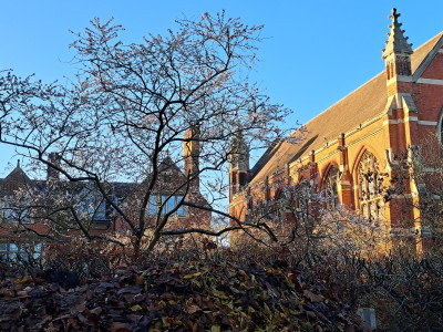 20251219_141631.jpg