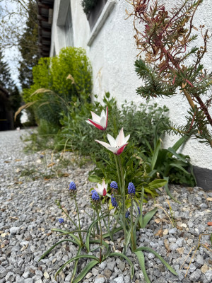 IMG_6182.jpeg