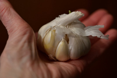Kussknoblauch-oder-nicht-_01.JPG