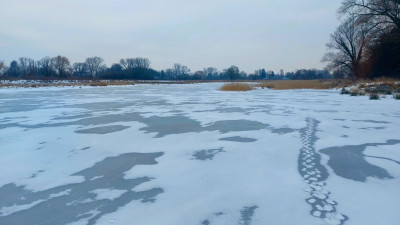 20260204_154327.jpg