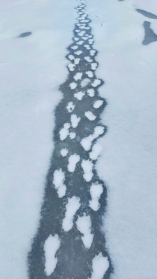 20260204_154316.jpg