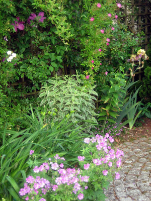 06 am unteren Sitzplatz_0085.JPG